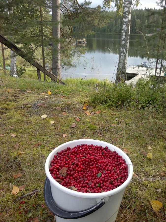 Valteri Villa Enonkoski Eksteriør billede